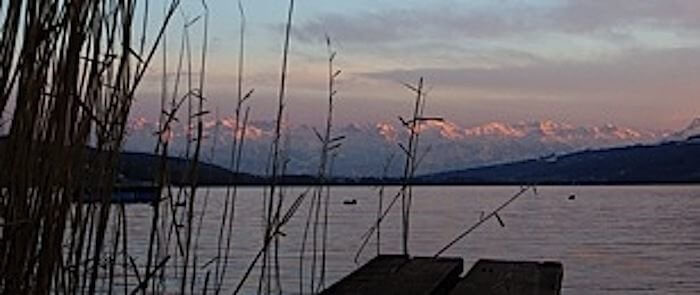 Feierabend-Segeln mit Strand-BBQ - Hallwilersee