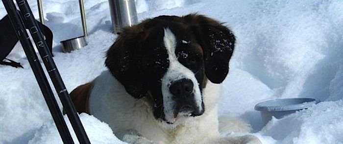 Gemütliches Schneeschuhwandern - 2 Tage